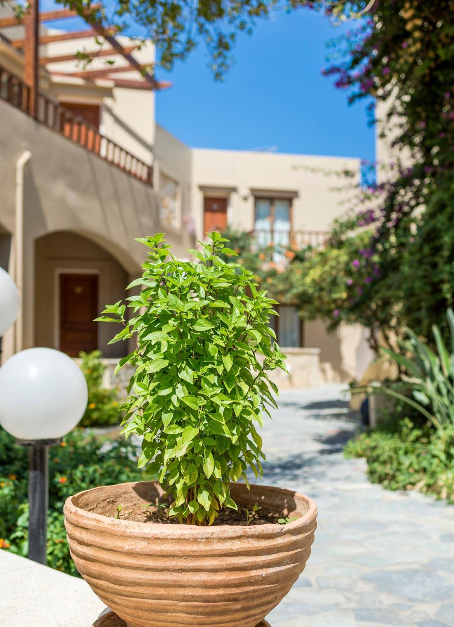 Indigo Mare Aparthotel Chania  Exterior photo